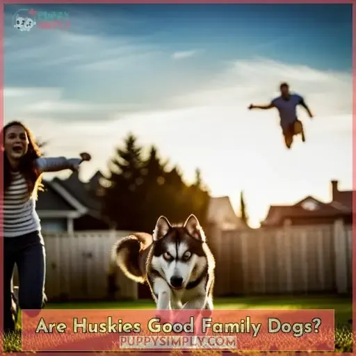 Are Huskies Good Family Dogs