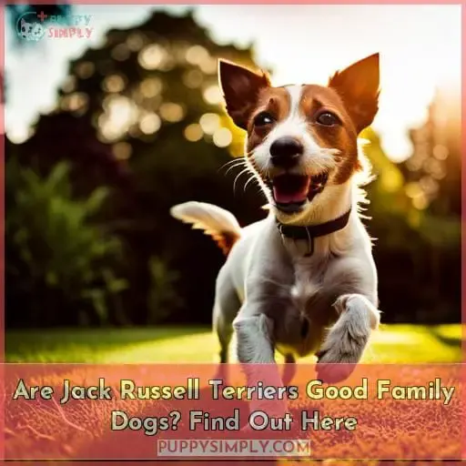 are jack russell terriers good family dogs
