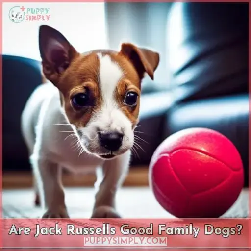 Are Jack Russells Good Family Dogs