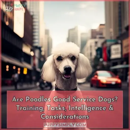 are poodles good service dogs