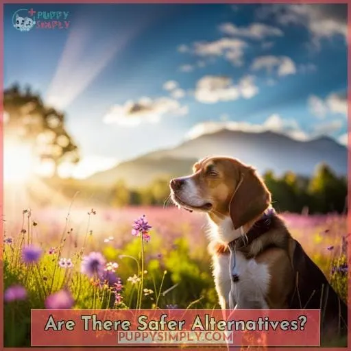 Are There Safer Alternatives