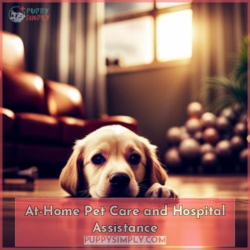 At-Home Pet Care and Hospital Assistance