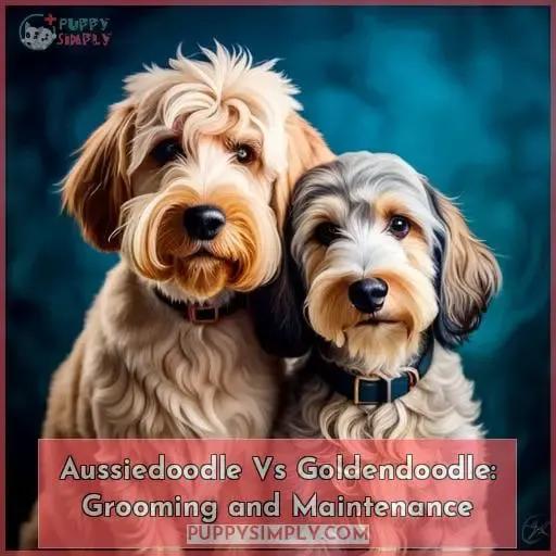 Aussiedoodle Vs Goldendoodle: Grooming and Maintenance