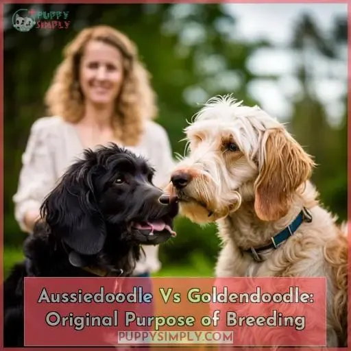 Aussiedoodle Vs Goldendoodle: Original Purpose of Breeding