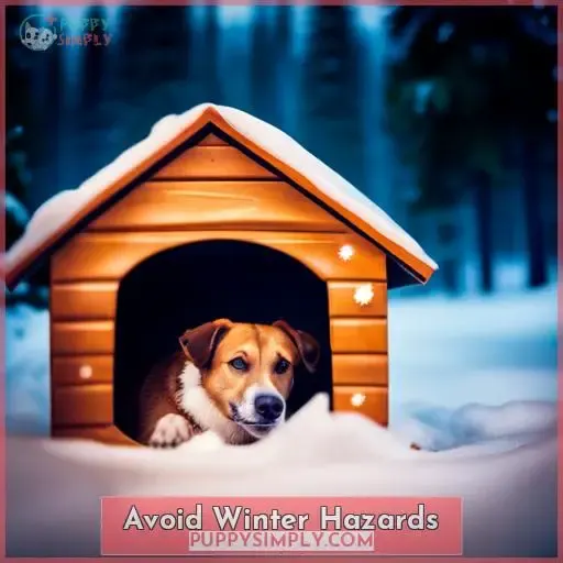 Avoid Winter Hazards