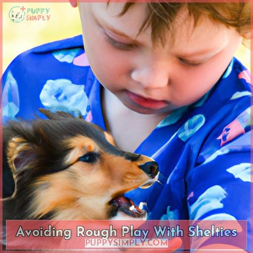 Avoiding Rough Play With Shelties