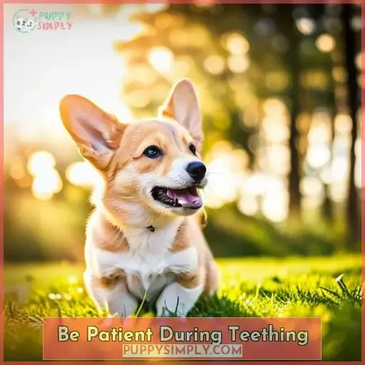 Be Patient During Teething
