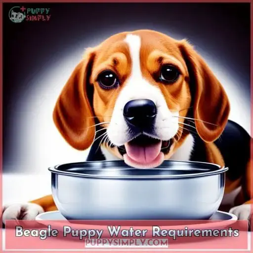 Beagle Puppy Water Requirements