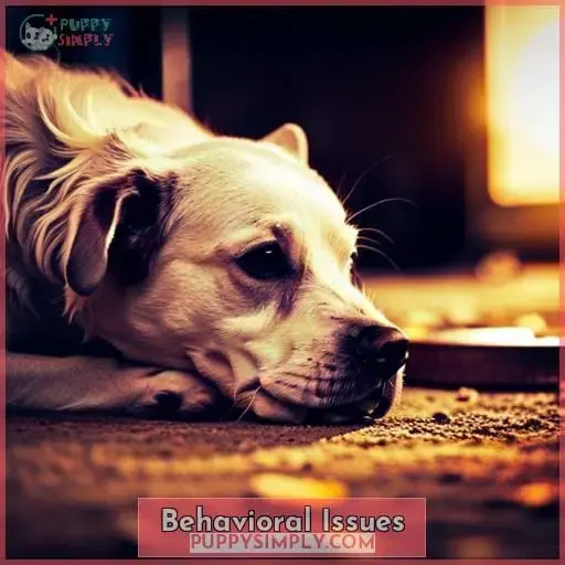 Behavioral Issues