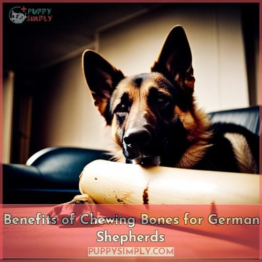 Benefits of Chewing Bones for German Shepherds