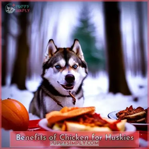 Benefits of Chicken for Huskies