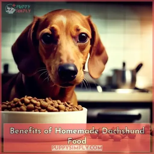 Benefits of Homemade Dachshund Food