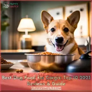 best dog food for corgis