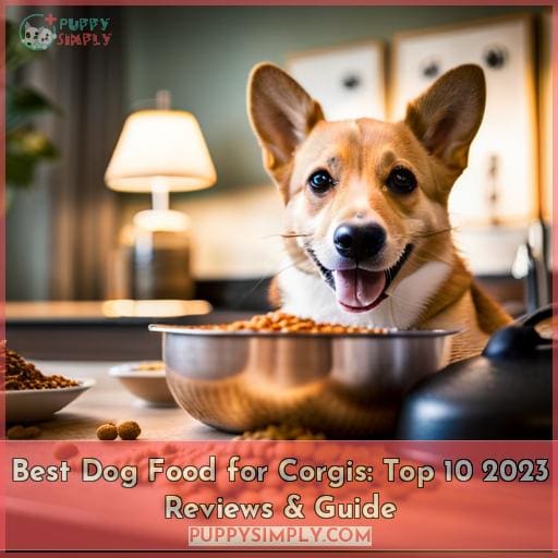 Best Dog Food for Top 10 2023 Reviews & Guide