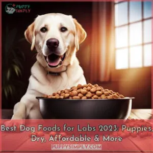 best dog food for lab