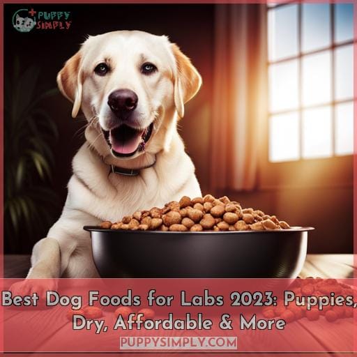 Best Dog Foods for Labs 2023 Puppies, Dry, Affordable & More