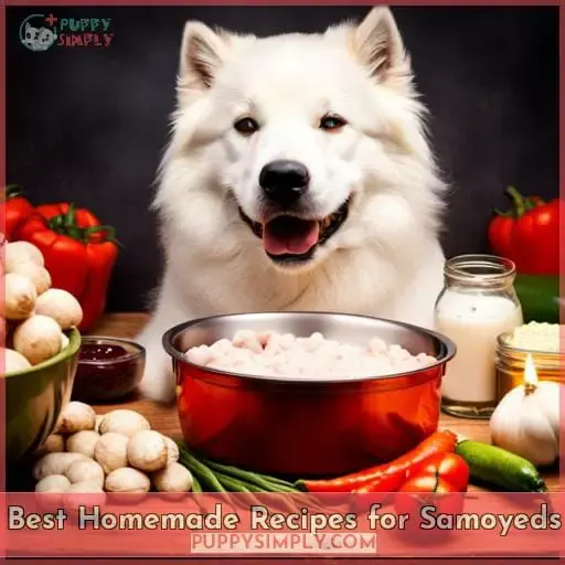 Best Homemade Recipes for Samoyeds