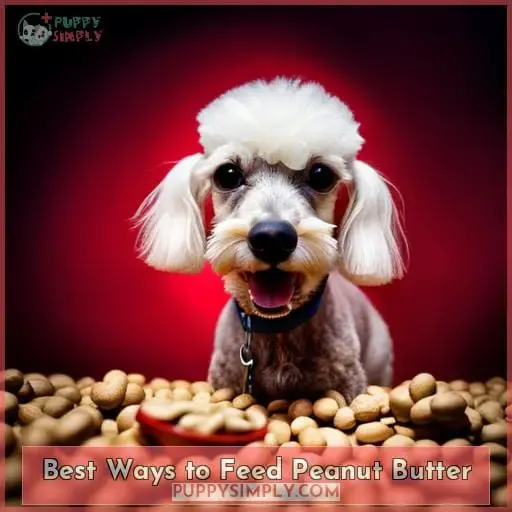 Best Ways to Feed Peanut Butter