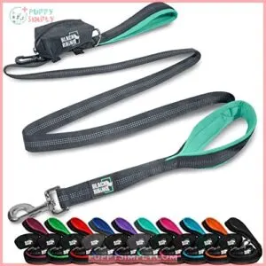 Black Rhino Dog Leash -