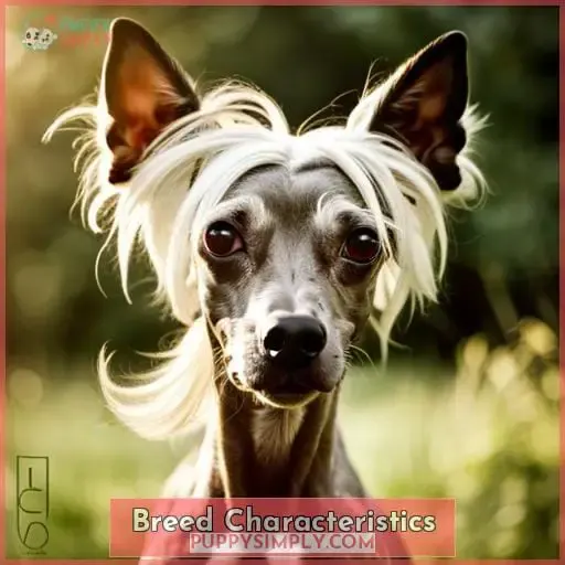 Breed Characteristics