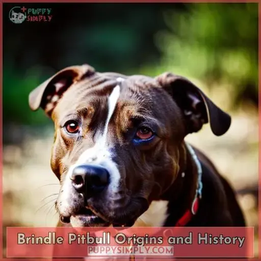 Brindle Pitbull Origins and History