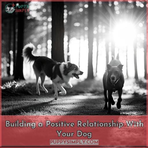 Building a Positive Relationship With Your Dog Building a Positive Relationship With Your Dog