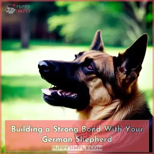 Building a Strong Bond With Your German Shepherd