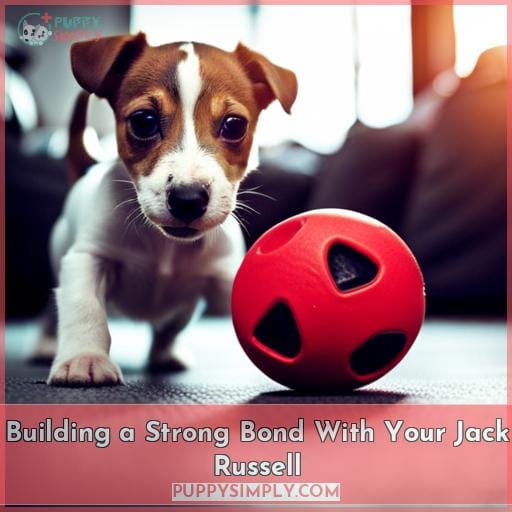 Building a Strong Bond With Your Jack Russell