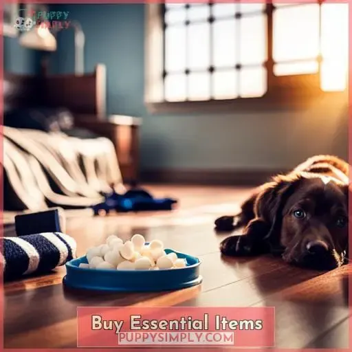 Buy Essential Items