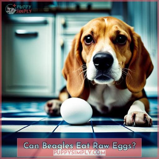 Can Beagles Eat Raw Eggs