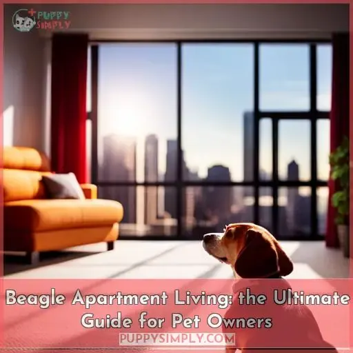 can beagles live in apartments a complete guide