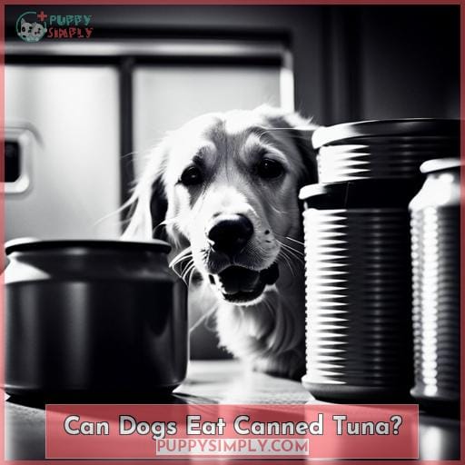 Can Dogs Eat Canned Tuna