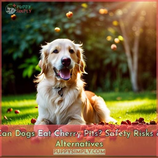 Can Dogs Eat Cherry Pits? The Surprising Health Risks Owners Need to Know