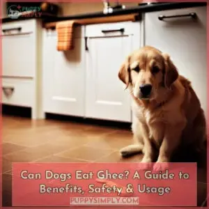 can dogs eat ghee