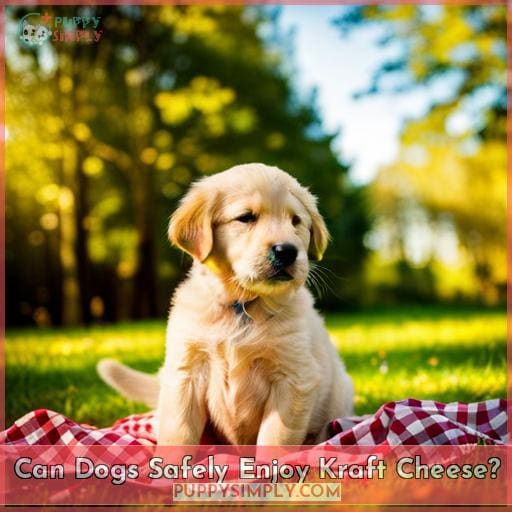 can-dogs-eat-lunch-meat-safely-tips-alternatives-for-dog-owners