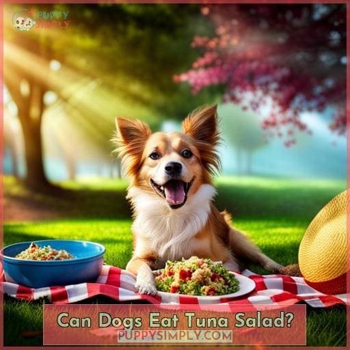 Can Dogs Eat Tuna Salad