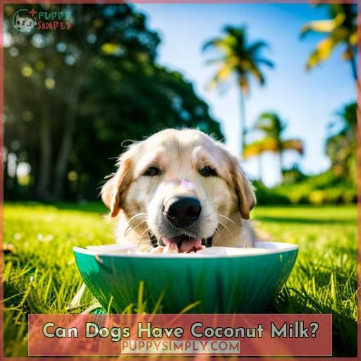 Can Dogs Have Coconut Milk