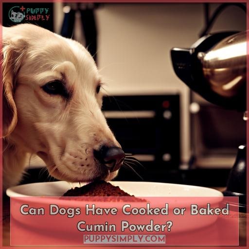 Can Dogs Have Cooked or Baked Cumin Powder