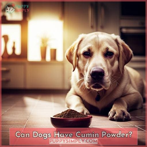 Can Dogs Have Cumin Powder