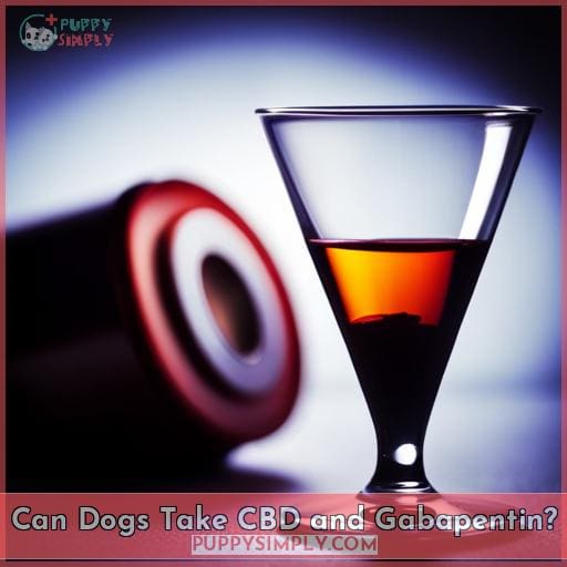 Can Dogs Take CBD and Gabapentin