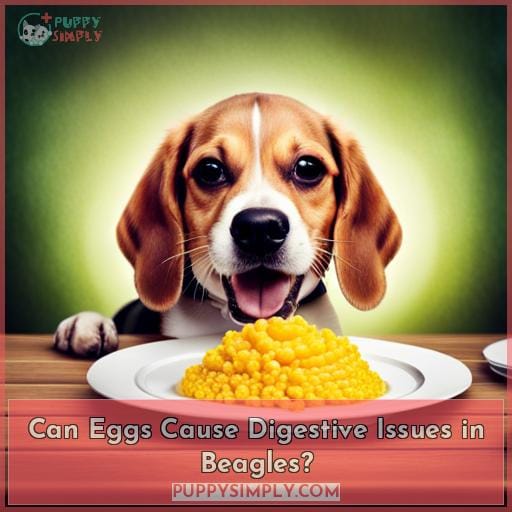Can Eggs Cause Digestive Issues in Beagles