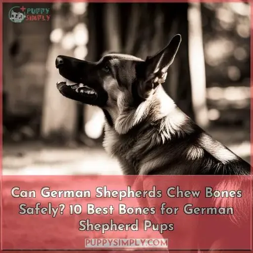 can german shepherds chew on bones