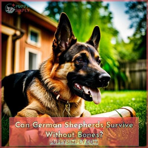 Can German Shepherds Survive Without Bones