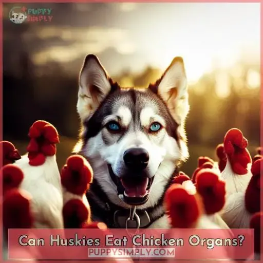 Can Huskies Eat Chicken Organs