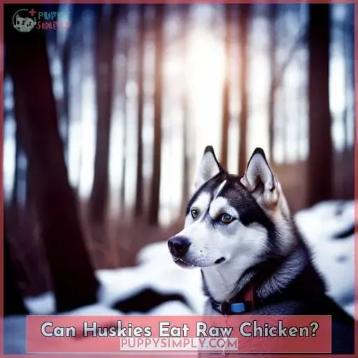 Can Huskies Eat Raw Chicken