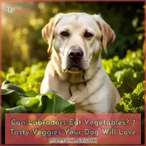 can i feed my labrador retriever vegetables