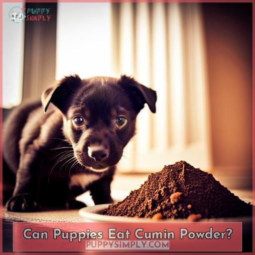 Can Puppies Eat Cumin Powder