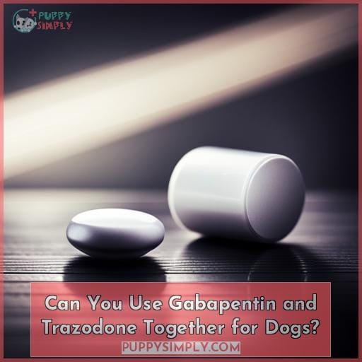 Can You Use Gabapentin and Trazodone Together for Dogs