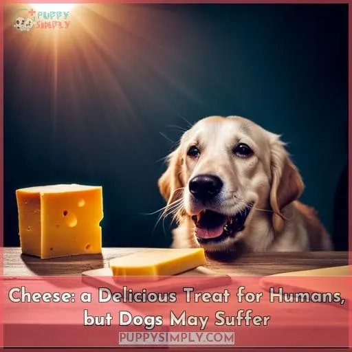 Cheese: a Delicious Treat for Humans, but Dogs May Suffer