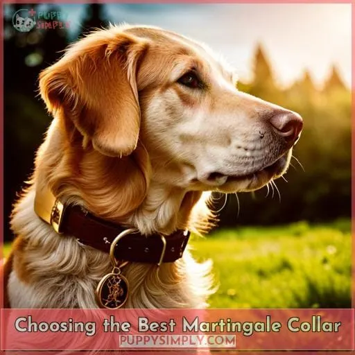 Choosing the Best Martingale Collar